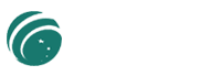金禾電氣有限公司